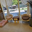 삐삐앤몽 이미지