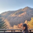 오이코스테이 이미지