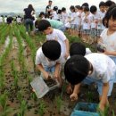 최강자농장 이미지