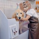 하니 그루밍( Hani Grooming) 이미지