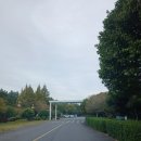 제주도가볼만한곳 대유ATV수렵사격랜드!짱잼후기