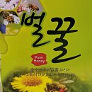 김혜호 이미지