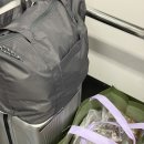 안양개인택시조합 차량관리소 | [강원도] 25.12.20-21 고성 1박2일