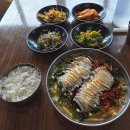 제주전복물회 | 서귀포 맛집 공천포식당 | 제주식 전복 물회 먹은 후기