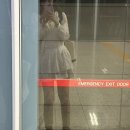 6월 셋째 주 일상 - 여름의 낮도 밤도 모든 게 다 좋은 걸