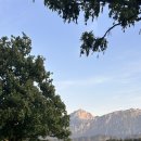 퓌센하우스 이미지