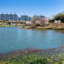 은파호수공원 이미지