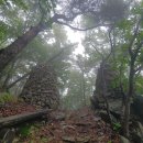 8월2일(화) 충남 내포문화숲길 1코스(숲길예산센터-원효암터...수덕사) 이미지