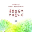 명품숲길 50선 안내 이미지