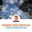 가평 블루문 캠핑장 숲속 명당 및 각 사이트 전경 및 스테이존 상세 리뷰