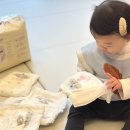 씨제이네이처 | 기저귀 고민 끝 프리미엄 기저귀 킨도 베베가드 네이처 후기