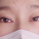 펄아이래쉬