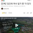 [단독] '김건희 여사 일가 땅' 더 있다 이미지