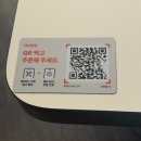 대가참치 서면점 | 부산 서면 맛집 피자드시우 부산본점 서면 피자 파스타 맛집 샐러드바 9천원에 피즈크러스트 무료 가성비