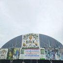 즐기고 왔어요｜경기도 대부도브릭스포도농장 죽순체험·돌마나리체험·알찾기체험·동물교감·말산책까지