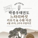 박종우태권도 이미지