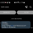 소소한 집사 이미지