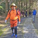 서귀포자연휴양림 이미지