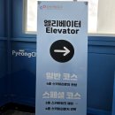 스키점프경기장 - 점프타워 | 평창 가볼만한 곳 이색여행지 알펜시아 스키점프 전망대 투어