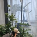콩콩! 심쿵! 서산 간월콩콩 콩아이스크림에 푹 빠져버린 이야기!