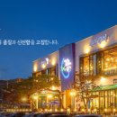 청해수산장어의꿈