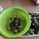 추암오토캠핑장 이미지