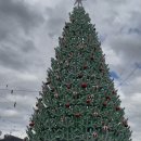 진도호시 | 아기와 호주 멜버른 여행후기] 여행편(DAY1)｜장보기...Duke coffee, roasters, 호시어레인, 칼턴가든스