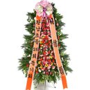 김효림 이미지