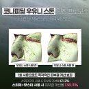 라라라뷰티