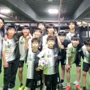 도선체육관 이미지