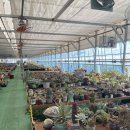 큰빛농장 이미지