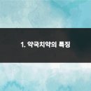 최고약국 이미지