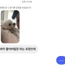 형민농장 | 3月