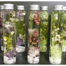 [10/10] 프리저브드 플라워 하바리움 - 원데이 클래스 이미지