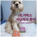 저단52 | 강아지신장화식 찾는다면? 도거박스 저단백 화식 샘플팩 후기