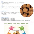 아르릉 이미지