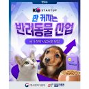 뉴잇컴퍼니