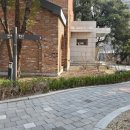 루디아프로젝트