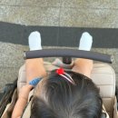 하귤소담 이미지