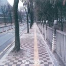 터미널9길 이미지