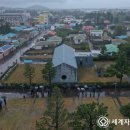 신효동 하귤나무 네이버블로그