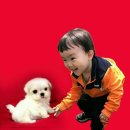 우준 이미지