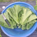 송가농장 이미지