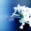 권명화류 소고춤 이미지