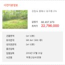 대구동_강릉 이미지