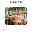 4살 5살 형제 동시 만족한 판교 파미어스몰 거부기카페 후기