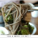 경기 가평군 청평면 대성리 "착한 닭갈비"의 메밀막국수 이미지