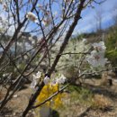 도열농장 이미지