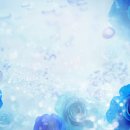 서초보쌈 이미지