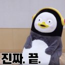 [글림그라피] 목포·광주 웨딩스냅, 즐겁게 찍었을 뿐인데 사진이 400만 조회수?! 웨딩촬영 후기